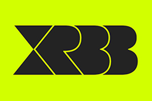 Extended Reality Berlin Brandenburg e.V. (XRBB)